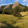 Longmont Co