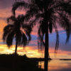 Tampa Florida