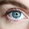 Eye