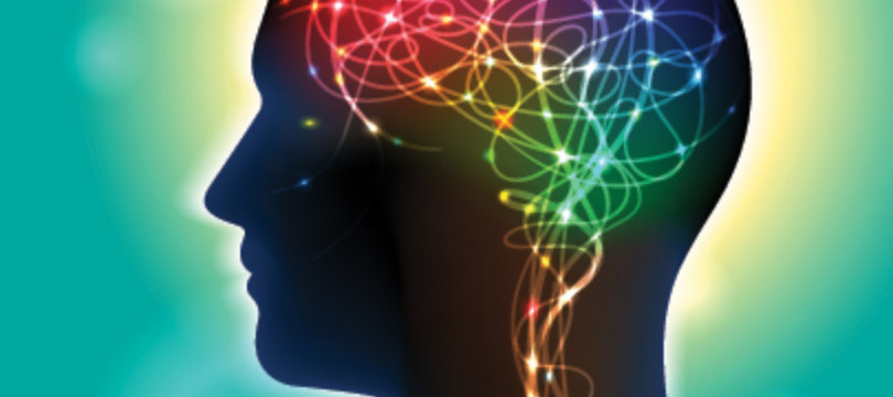 Cognition