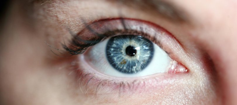 Eye