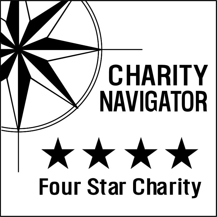 charity navigator 4-start charity